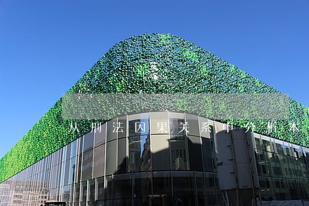 从刑法因果关系中分析本案的定性 从刑法因果关系中分析本案的定性