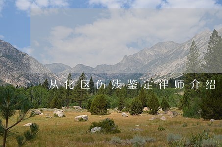 从化区伤残鉴定律师介绍