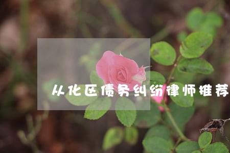 从化区债务纠纷律师推荐