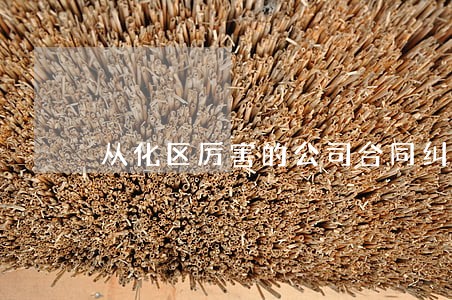 从化区厉害的公司合同纠纷律师 从化区厉害的公司合同纠纷律师