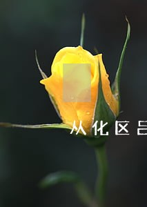 从化区吕田镇债权债务律师 从化区吕田镇债权债务律师