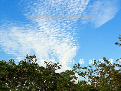 从化区婚外情纠纷律师哪个好 从化区婚外情纠纷律师哪个好