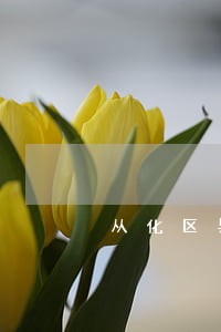 从化区异议答辩律师推荐 从化区异议答辩律师推荐