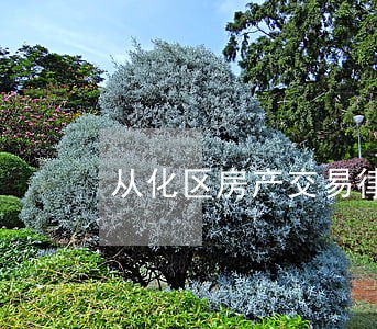 从化区房产交易律师介绍 从化区房产交易律师介绍