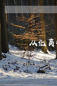 从化商场转让合同律师 从化商场转让合同律师