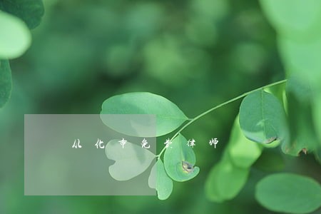 从化市免费律师 从化市免费律师