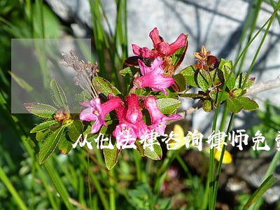 从化法律咨询律师免费 从化法律咨询律师免费