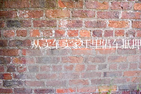 从卖车卖家手里借车抵押违法吗 从卖车卖家手里借车抵押违法吗