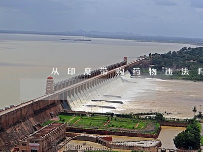 从印度带购药物违法吗