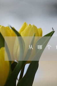 从哪个角度来说明宪法的重要性 从哪个角度来说明宪法的重要性