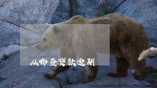从哪查贷款逾期 从哪查贷款逾期