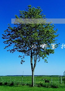 从哪里找法律咨询 从哪里找法律咨询