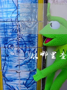 从哪里查找律师证