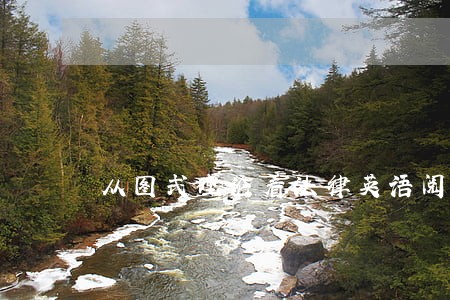 从图式理论看法律英语阅读教学 从图式理论看法律英语阅读教学
