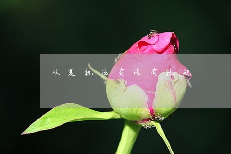 从复执法有没有法规 从复执法有没有法规