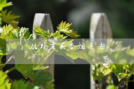 从外省买香烟违法 从外省买香烟违法