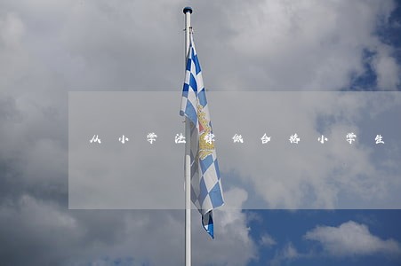 从小学法律做合格小学生 从小学法律做合格小学生