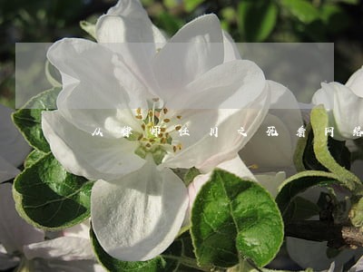 从律师任川之死看网络暴力