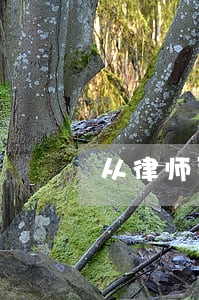 从律师到资本家的蜕变 从律师到资本家的蜕变