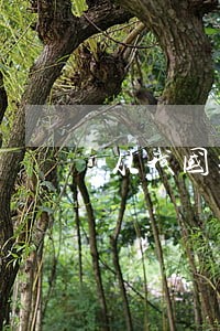 从我国刑法规定看 从我国刑法规定看