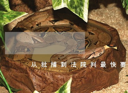 从批捕到法院判最快要多久 从批捕到法院判最快要多久