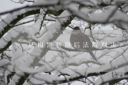 从报警到最后法院判决 从报警到最后法院判决