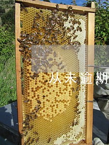 从未逾期会影响信用卡
