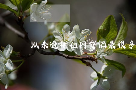 从未逾期但网贷记录很多 从未逾期但网贷记录很多