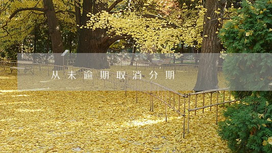 从未逾期取消分期 从未逾期取消分期
