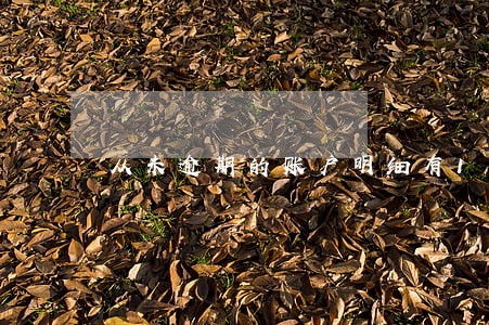 从未逾期的账户明细有148笔 从未逾期的账户明细有148笔