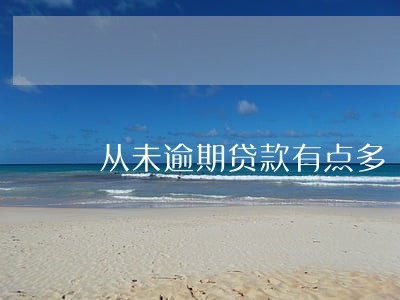 从未逾期贷款有点多 从未逾期贷款有点多
