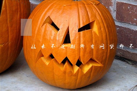 从来不逾期所有网贷都不能用了 从来不逾期所有网贷都不能用了