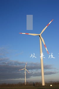 从来没有出现逾期怎么会信用不良