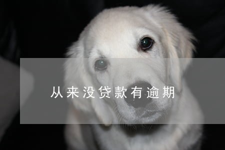 从来没贷款有逾期 从来没贷款有逾期