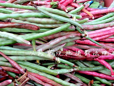 从检察院批捕到法院判刑需要多久 从检察院批捕到法院判刑需要多久
