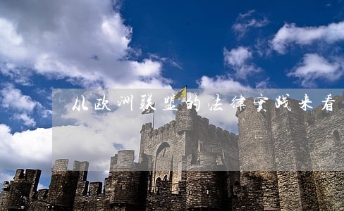 从欧洲联盟的法律实践来看 从欧洲联盟的法律实践来看