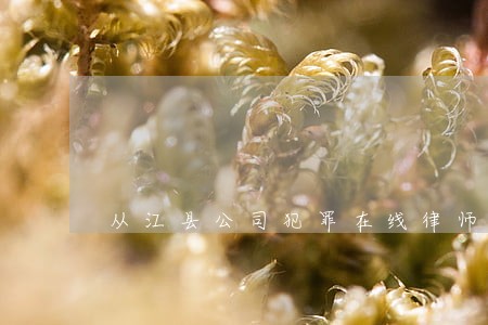 从江县公司犯罪在线律师 从江县公司犯罪在线律师