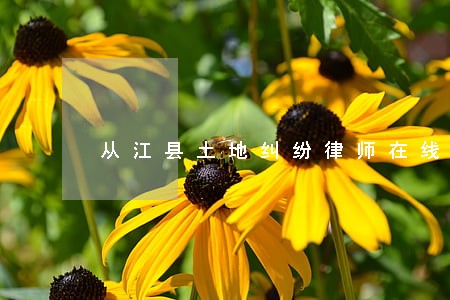 从江县土地纠纷律师在线免费咨询 从江县土地纠纷律师在线免费咨询