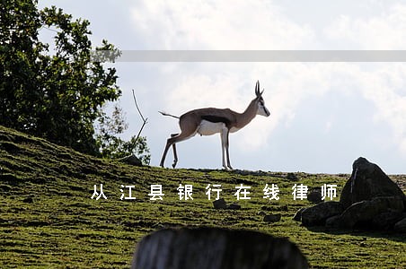 从江县银行在线律师 从江县银行在线律师