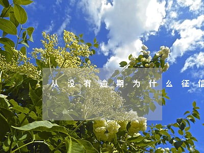 从没有逾期为什么征信上显示1 从没有逾期为什么征信上显示1