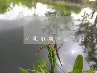 从没逾期但办不到信用卡 从没逾期但办不到信用卡
