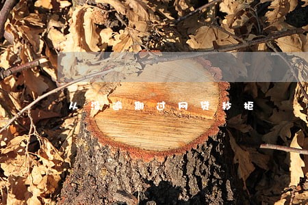 从没逾期过网贷秒拒 从没逾期过网贷秒拒