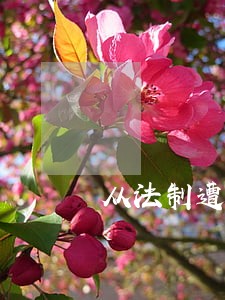 从法制遭遇尴尬说起 从法制遭遇尴尬说起