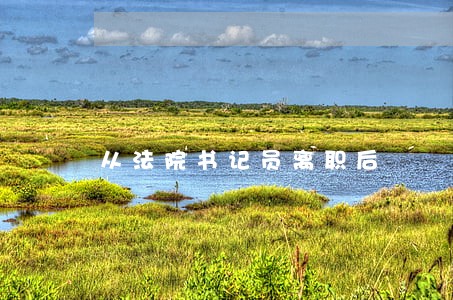 从法院书记员离职后 从法院书记员离职后