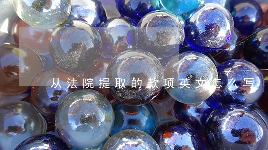 从法院提取的款项英文怎么写 从法院提取的款项英文怎么写