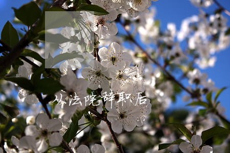 从法院辞职后 从法院辞职后