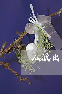 从派出所到看守所流程 从派出所到看守所流程