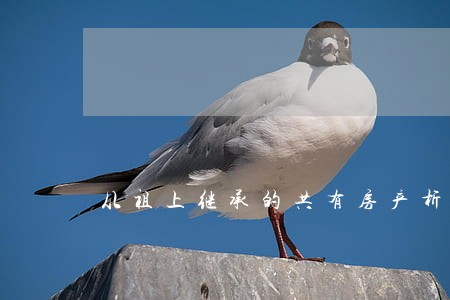 从祖上继承的共有房产析产诉讼时 从祖上继承的共有房产析产诉讼时
