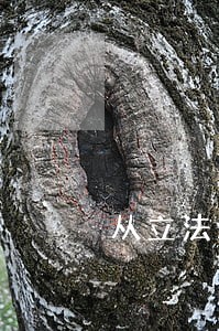 从立法精神来看违法所得的计算 从立法精神来看违法所得的计算