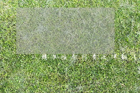 从精准性原则看法律翻译的特点 从精准性原则看法律翻译的特点